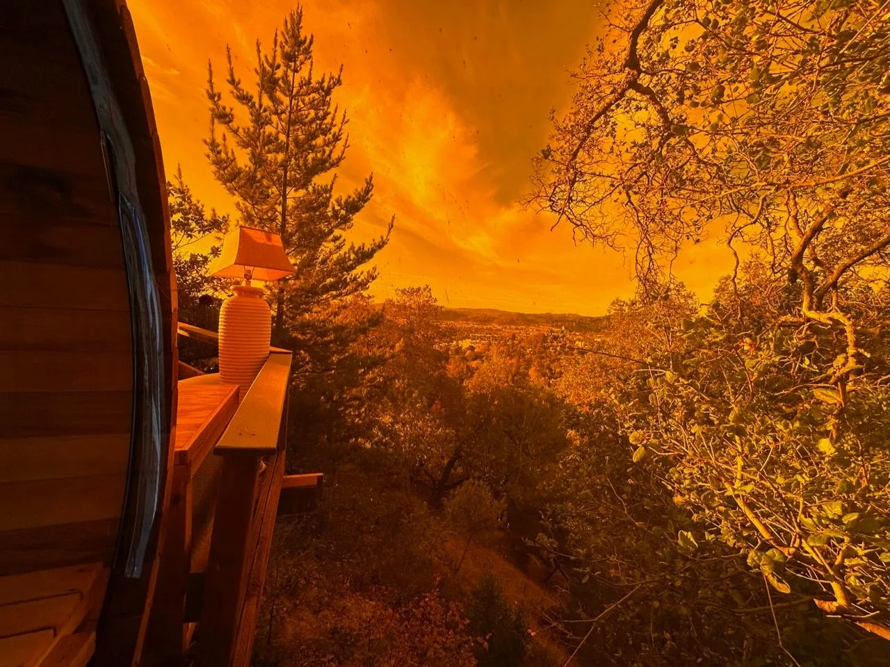 View from inside the wood sauna out across the treetops to a golden sunset sky